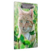 Ginger Cat with Green Eyes in Grass Klembord (Rechts)