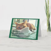 Ginger Cat zegt dat hij zich beter kan voelen Aankondiging (Voorkant)