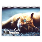 Ginger Cats Photo Wall Agenda Kalender (Hoes)
