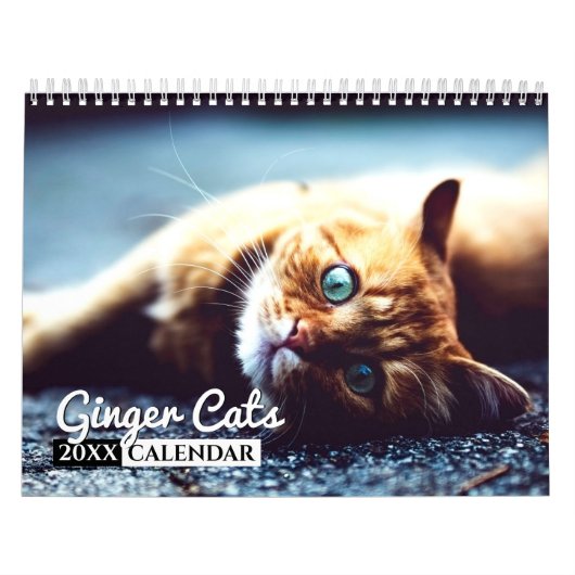 Ginger Cats Photo Wall Agenda Kalender (Hoes)
