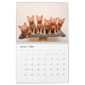 Ginger Cats Photo Wall Agenda Kalender (Jan 2026)
