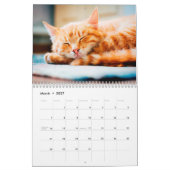 Ginger Cats Photo Wall Agenda Kalender (Mar 2027)