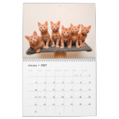 Ginger Cats Photo Wall Agenda Kalender (Jan 2027)