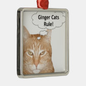 Ginger Cats-regel Metalen Ornament (Rechts)