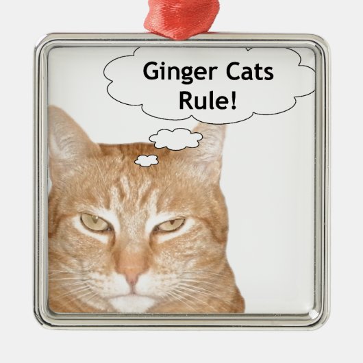Ginger Cats-regel Metalen Ornament (Voorkant)