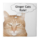 Ginger Cats-regel Tegeltje (Voorkant)