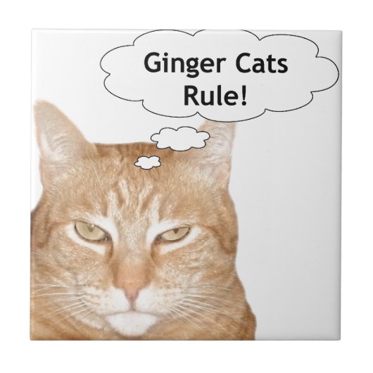 Ginger Cats-regel Tegeltje (Voorkant)