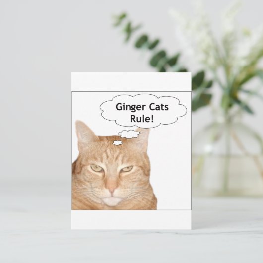 Ginger Cats Rule! Briefkaart (Staand voorkant)