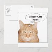 Ginger Cats Rule! Briefkaart (Voorkant / Achterkant)
