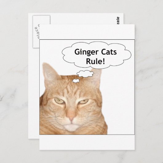 Ginger Cats Rule! Briefkaart (Voorkant / Achterkant)