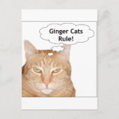Ginger Cats Rule! Briefkaart (Voorkant)