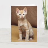 Ginger Couch Kaart (Voorkant)