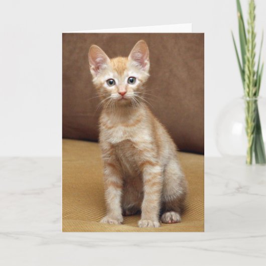 Ginger Couch Kaart (Voorkant)