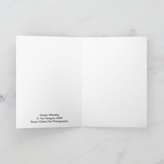 Ginger Couch Kaart (Binnen)