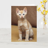 Ginger Couch Kaart (Gele Bloem)