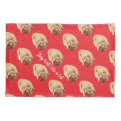 Ginger Cute Cat Photo Text Blue Red  Kussensloop (Achterkant)