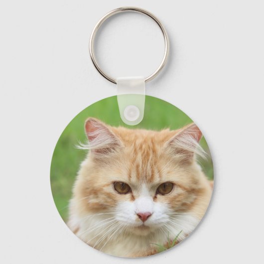 Ginger en White Cat, zo schattig! Sleutelhanger (Voorkant)
