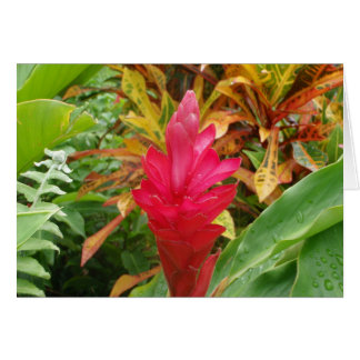 Ginger Flower-kaart