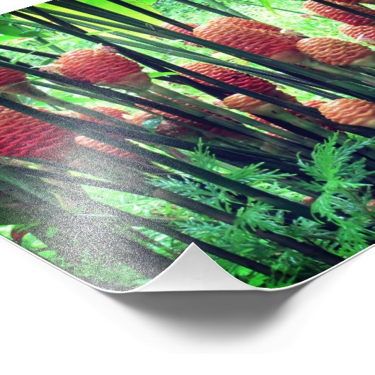 Ginger-foto Foto Afdruk (Hoek)