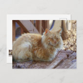 Ginger George Briefkaart (Voorkant / Achterkant)