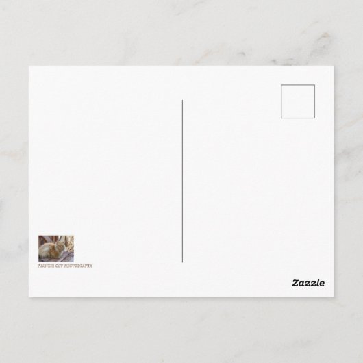 Ginger George Briefkaart (Achterkant)