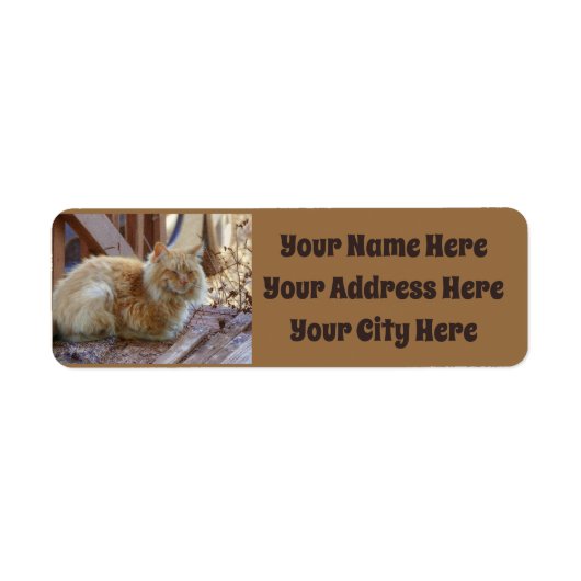 Ginger George Etiket (Voorkant)