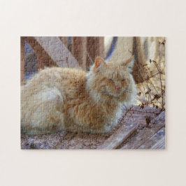Ginger George Jigzaag Puzzle Legpuzzel