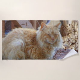 Ginger George Strandlaken