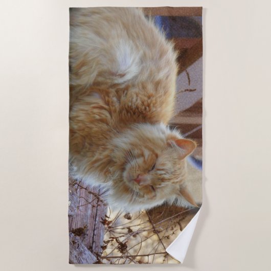 Ginger George Strandlaken (Voorkant)