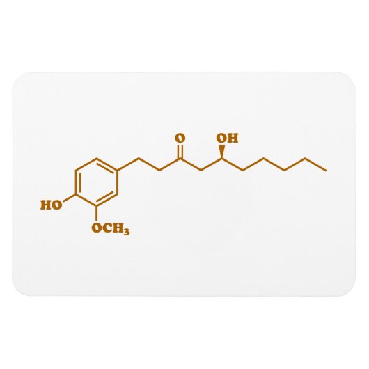 Ginger Gingerol Molecule Chemical Formule Magneet (Horizontaal)
