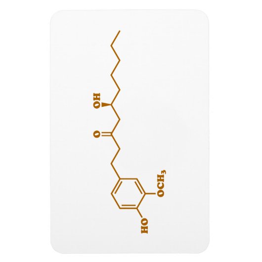 Ginger Gingerol Molecule Chemical Formule Magneet (Verticaal)