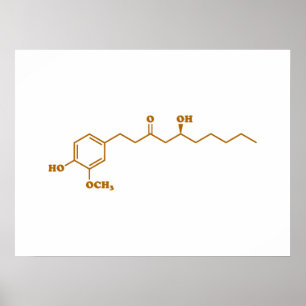 Ginger Gingerol Molecule Chemical Formule Poster