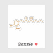 Ginger Gingerol Molecule Chemical Formule Sticker (Vel)