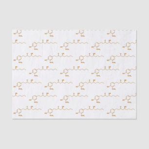 Ginger Gingerol Molecule Chemical Formule Tissuepapier