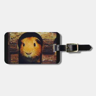 Ginger Guinea Pig Gifts Bagagelabel