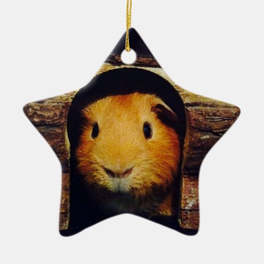 Ginger Guinea Pig Gifts Keramisch Ornament (Voorkant)