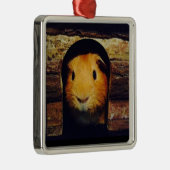 Ginger Guinea Pig Gifts Metalen Ornament (Rechts)