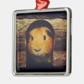 Ginger Guinea Pig Gifts Metalen Ornament (Links)