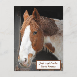 Ginger Horse op Boerderij Gewoon een meisje dat va Briefkaart