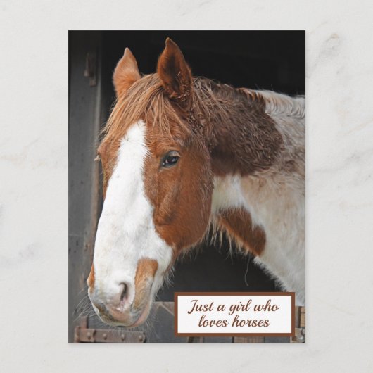 Ginger Horse op Boerderij Gewoon een meisje dat va Briefkaart (Voorkant)