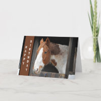 Ginger Horse op Boerderij Gewoon een meisje dat va