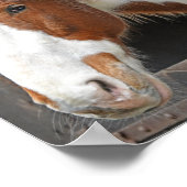 Ginger Horse op Boerderij Gewoon een meisje dat va Poster (Hoek)