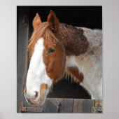 Ginger Horse op Boerderij Gewoon een meisje dat va Poster (Voorkant)