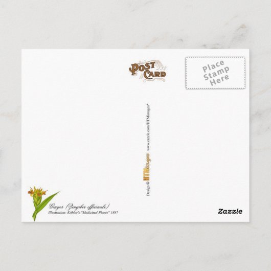 Ginger -  illustratie briefkaart (Achterkant)
