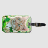 Ginger Kat met groene ogen in gras Bagagelabel (Voorkant (horizontaal))