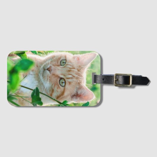 Ginger Kat met groene ogen in gras Bagagelabel (Voorkant (horizontaal))