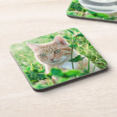 Ginger Kat met groene ogen in gras Bier Onderzetter (Linkerzijde)