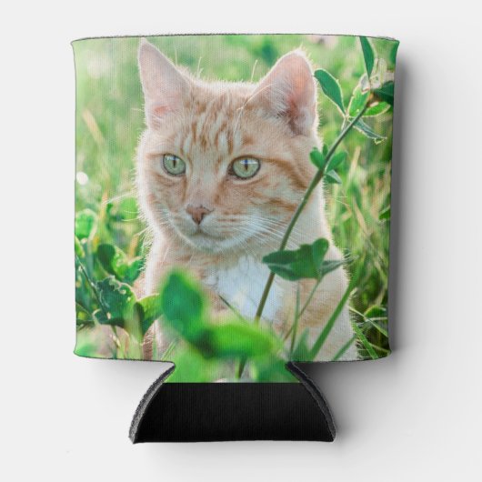 Ginger Kat met groene ogen in gras Blikjeskoeler (Voorkant)