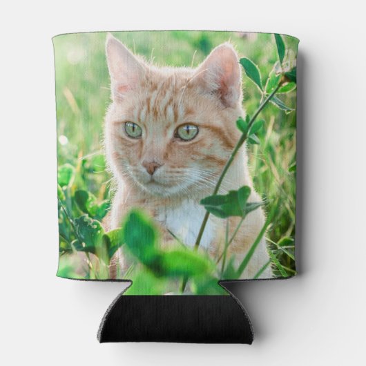 Ginger Kat met groene ogen in gras Blikjeskoeler (Achterkant)