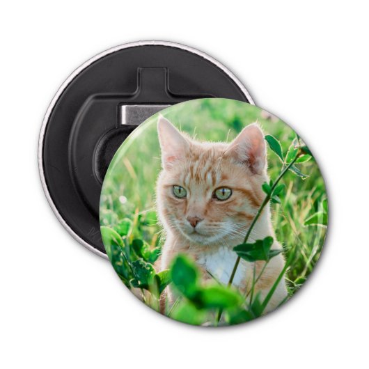 Ginger Kat met groene ogen in gras Button Flesopener (Voorkant)